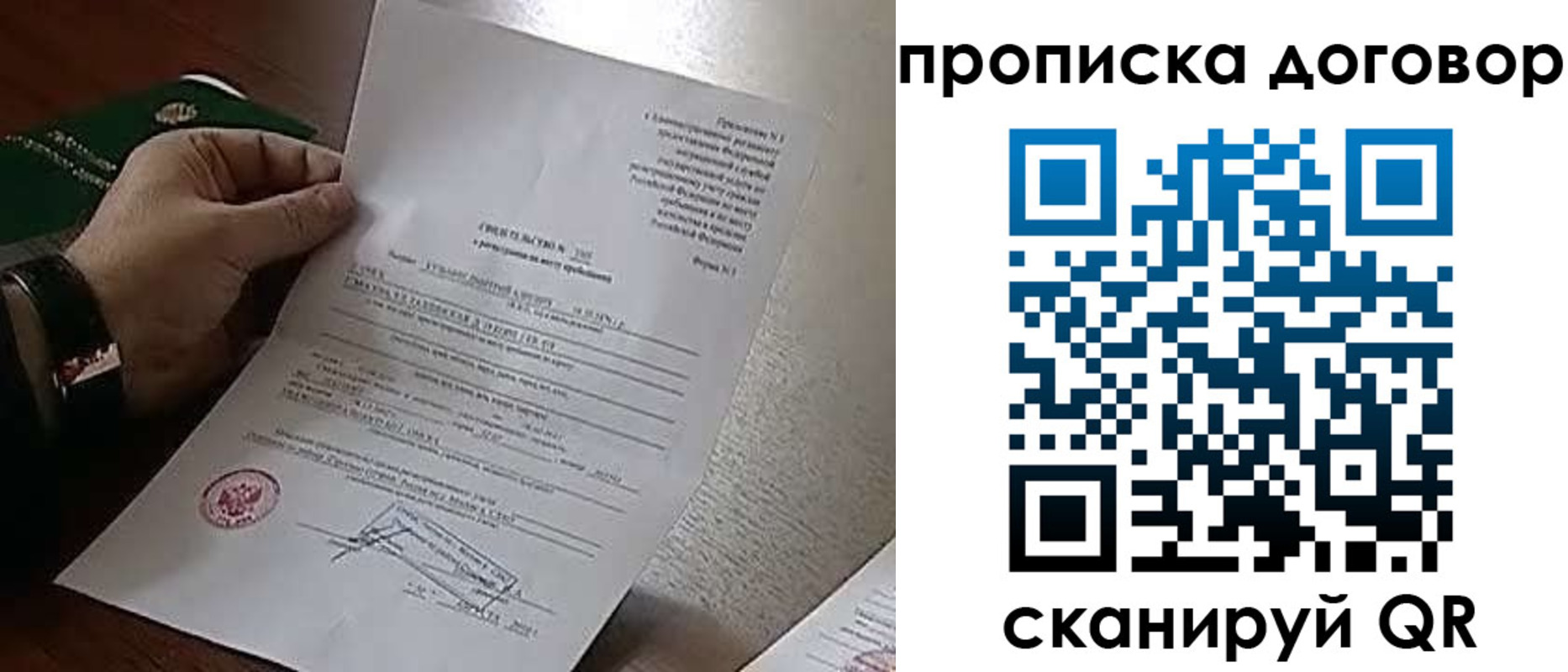 прописка законно в Заринске